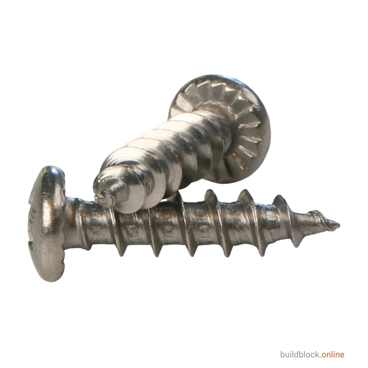 Two 4.8mm x 20mm stainless steel window hinge repair screws laid across one another on a white background, one angled with its serrated pan head to the right and one lying flat with its head to the left and its gimlet point to the right, showing both the head and the thread of the screw in one view.