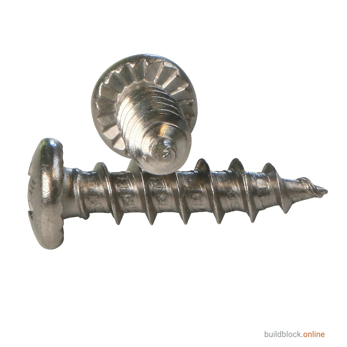 Two 4.8mm x 20mm stainless steel window hinge repair screws on a white background. The one behind stands on its point so the underside of the pan head faces the camera, showing the full ring of serrations. The one in front lies on its side, head to the left and gimlet point to the right, showing the whole length of the coarse stainless thread.