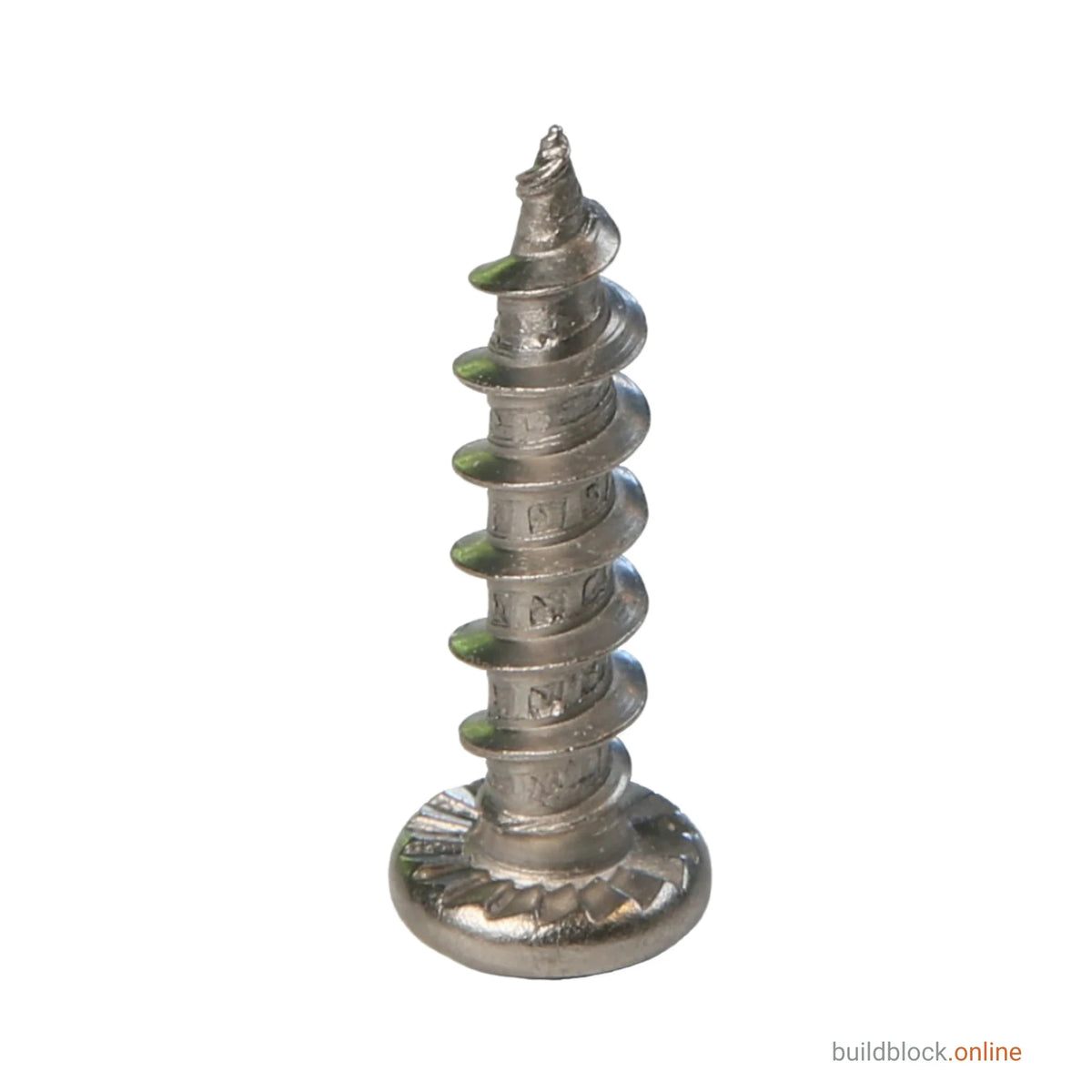 One 4.8mm x 20mm stainless steel window hinge repair screw stood on its pan head against a white background, thread upward, showing the coarse single-start stainless thread, the sharp gimlet point at the top and the ring of serrations under the head that bites into the hinge and stops the screw working loose.