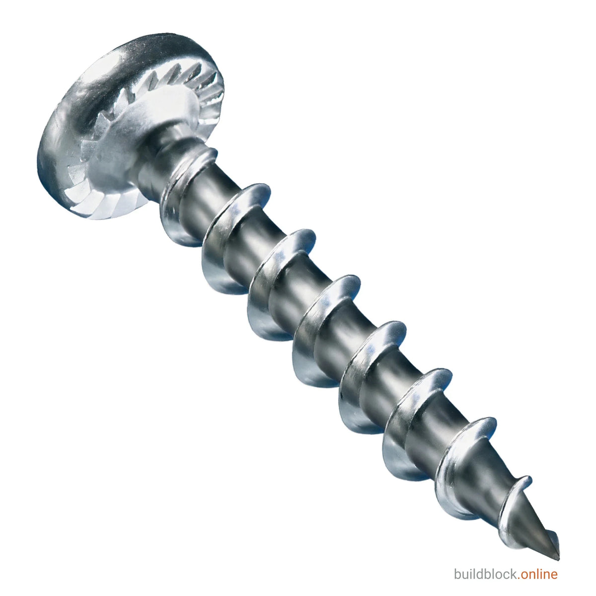 A single 4.8mm x 20mm stainless steel window hinge repair screw photographed on the diagonal against a white background, pan head at the top left and gimlet point at the bottom right, with the serrated ribs under the head and the deep coarse thread both shown close up.