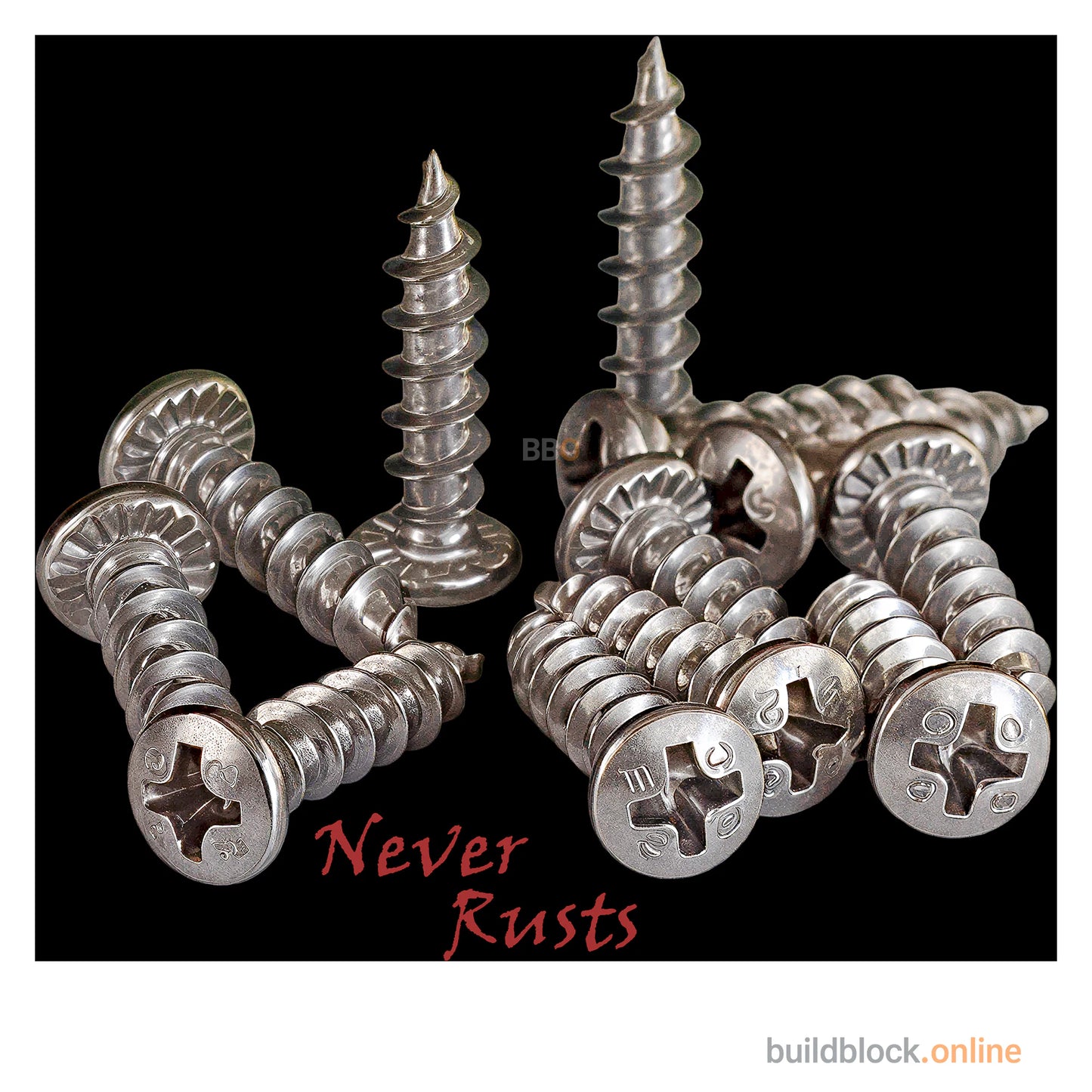 Stainless Steel Window Repair Screws